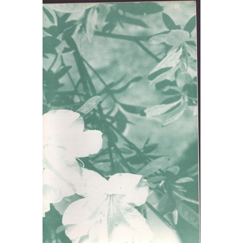 Alabama Cooperative Extension Service Azaleas Circular ANR-200 Gardening Guide - Picture 2 of 2